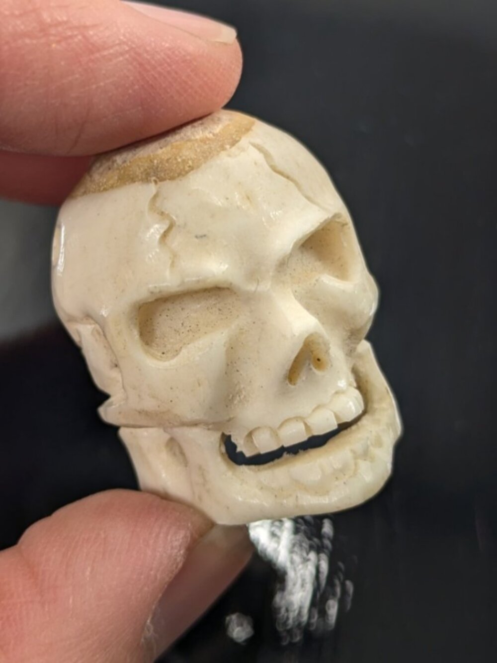 Vintage Memento Mori Deer Antler Carved Skull pendant, human skull bead